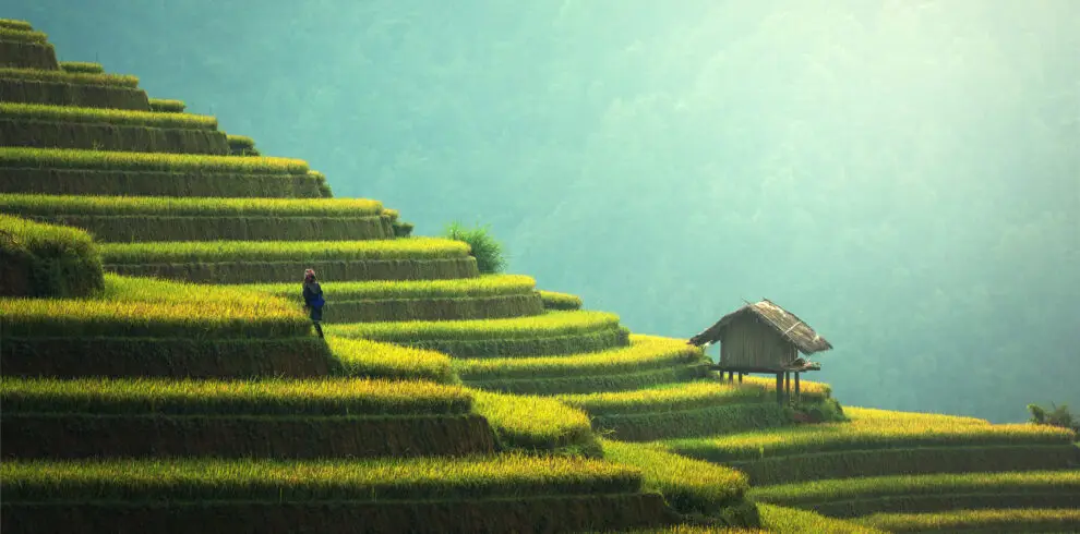 Vietnam,Rice,Fields,On,Terraced,Of,Mu,Cang,Chai,,Yenbai,