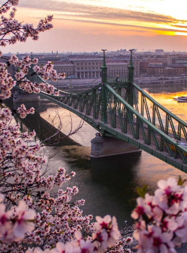 First,Signs,Of,Spring,Over,Budapest